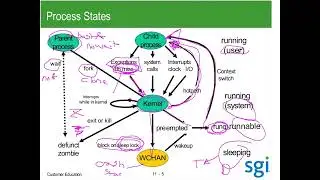 Life Of A Linux Process