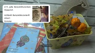 879. ДВЕ ВЫШИВАЛЬНЫЕ НЕДЕЛИ. НОВЫЙ ВЫШИВАЛЬНЫЙ ОПЫТ. ПЛАНЫ.