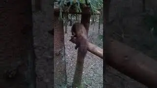 Кс140 вряд ли это случайность.