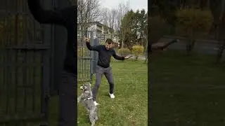 Вот как надо с собакой играть