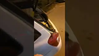 вот это монстр 😱😂