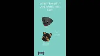 App interface withtext