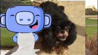 Wumpus and Freckls get married (50 subscriber special)