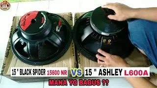 Speaker 15 inch black spider 15600 nr vs ashley L600A ll MANA YG BAGUS ??