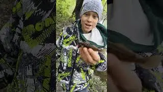 Бычок появился в Оке. 