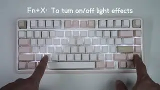 How to change the light effect? (Minilo 75 version)