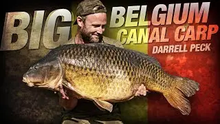 Darrell Peck - Big Belgium Canal Carp Fishing | Korda 2019