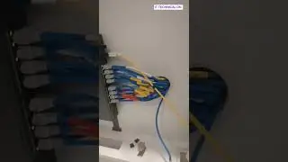 Ruijie reyee || today installation wifi access point and data point