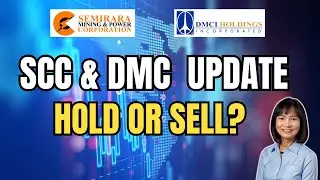 SCC & DMC Stocks Midyear 2025 Update / Dividend Investing 