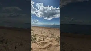 Комарово,СПБ,Курортный район, 23 июня 2024 года #story #tiktok #тикток #trending #nature #video