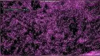 www