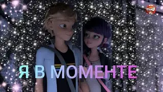 Клип леди баг и супер кот - Я в моменте