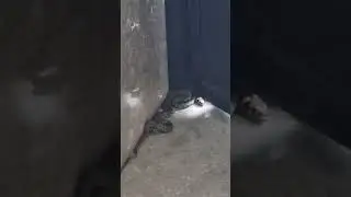 Kapıları kapalı tutalım 🤔