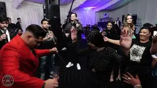 ALEX BOTEA✅CEA MAI DULCE ORHIDEE✅PREMIERĂ LA DENIS A LU TISU✅