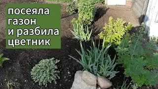 Газон и цветник. Начало.