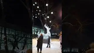 Дзержинск 04.01.2023