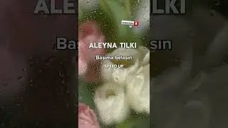 -Aleyna tilki evlenmiş-(!) #kesfetteyiz #aleynatilki #benalevhanımıseviyorum