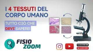 I TESSUTI DEL CORPO UMANO/ Quello che c'è da sapere! #FisioMap