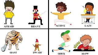 Learn Opposite words in English| Opposite words for preschoolers |Educational video