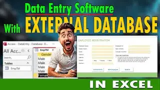 Data Entry Software with External Database in Excel