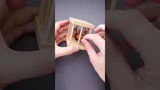Help the lion escape from the cage 