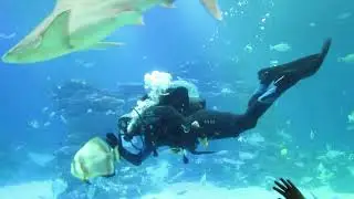 Это Израиль. Поездка в Эйлат. Окончание.
