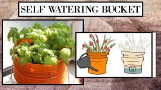 SELF WATERING WICKING BUCKET PART 2