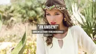 An Ambient - Music from Audiojungle