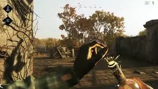 Custom ammo | Hunt Showdown