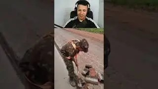 Já se alistou esse ano guerreiro ? kkkkkkk