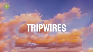 Hollis - Tripwires (Lyrics)