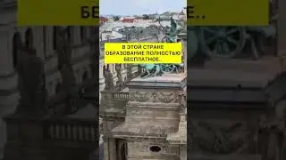 🌟 Учеба в Германии - это твоя дорога к успеху! Подпишись и отправляйся в путь! #УчебаВГермании#Успех