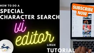 How to do a special character search in Linux VI editor | vi editor tutorial | Linux tutorial