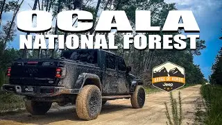 Tread Lightly! Four Wheel Drive Way | Jeep Badge of Honor