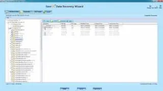 Data Recovery Wizard Professional - recover deleted files