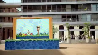 Angry birds вживую