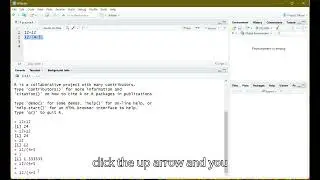 Prompt and Commands in R