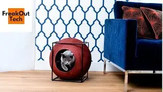 5 Incredible Inventions For Your Cat #9 ✔