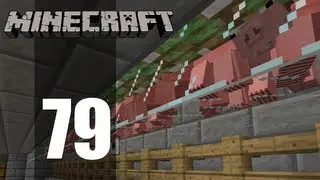 Minecraft Ep79 - Story and Pigs