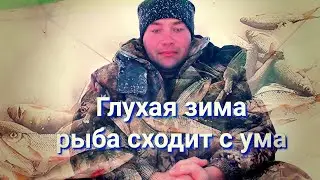 Зимняя Рыбалка // Рыбалка в Глухозимье 2021