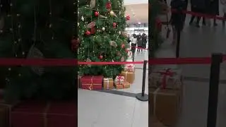 #shorts #almaty #video #newyear #yt
