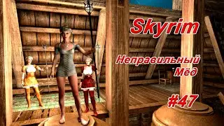 Неправильный мёд ► TES V: Skyrim #47