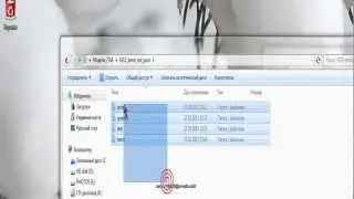 Как  установить модели для про игроков в CS 1.6