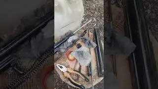 Чистота залог успеха.  #nature