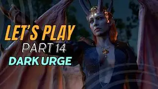First-Time Dark Urge | Drow Sorcerer Wild Mage part 14