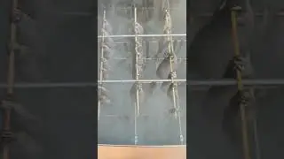 Дым Дымыч коптильня