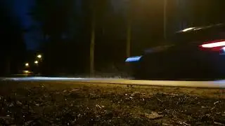 Peugeot 207 RC in the forest