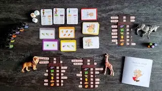 "Эфирный лекарь" правила игры.