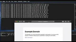 MacOS Endpoint, Network data