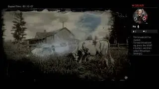 Sui-Cyko's Rockstar Red Dead Crash & Error Stream